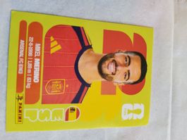 Panini Fussball ESP 14