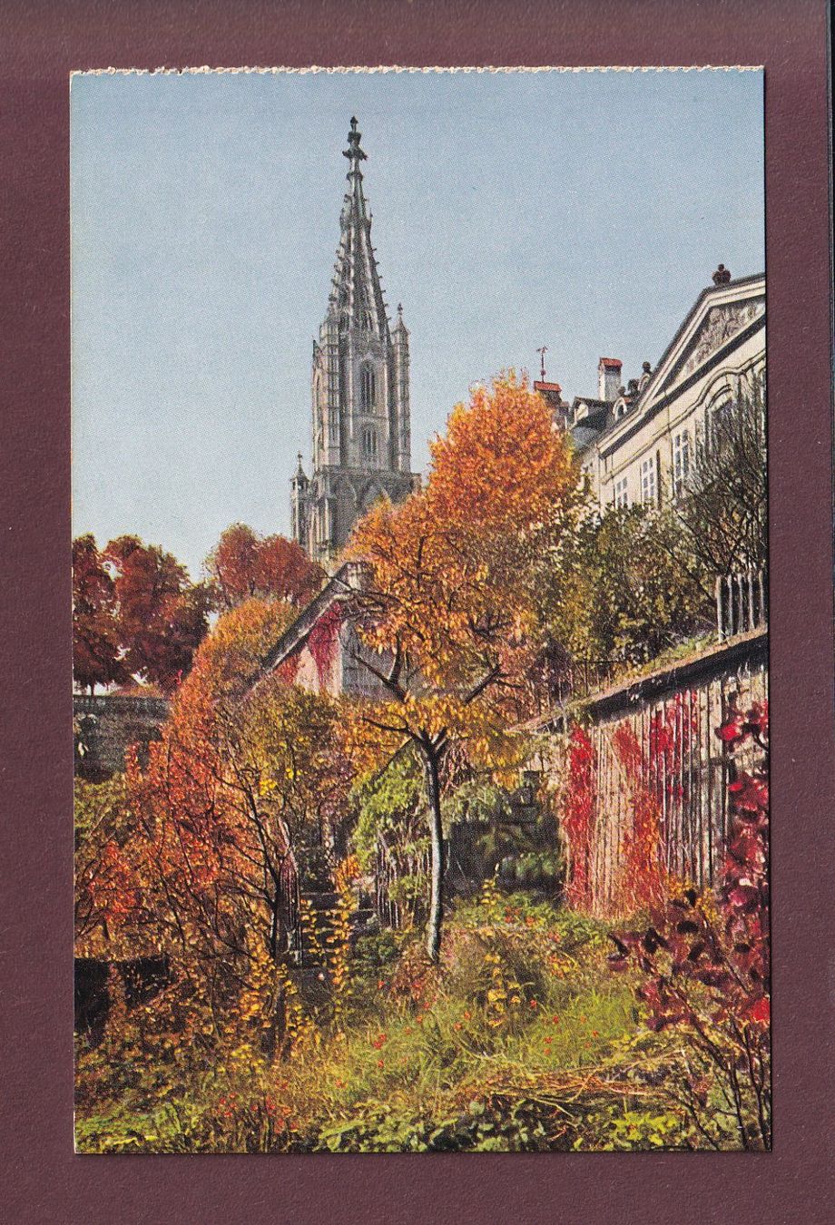 Cartes postales: BERN - Münster – D'occasion à Pully par nicecards
