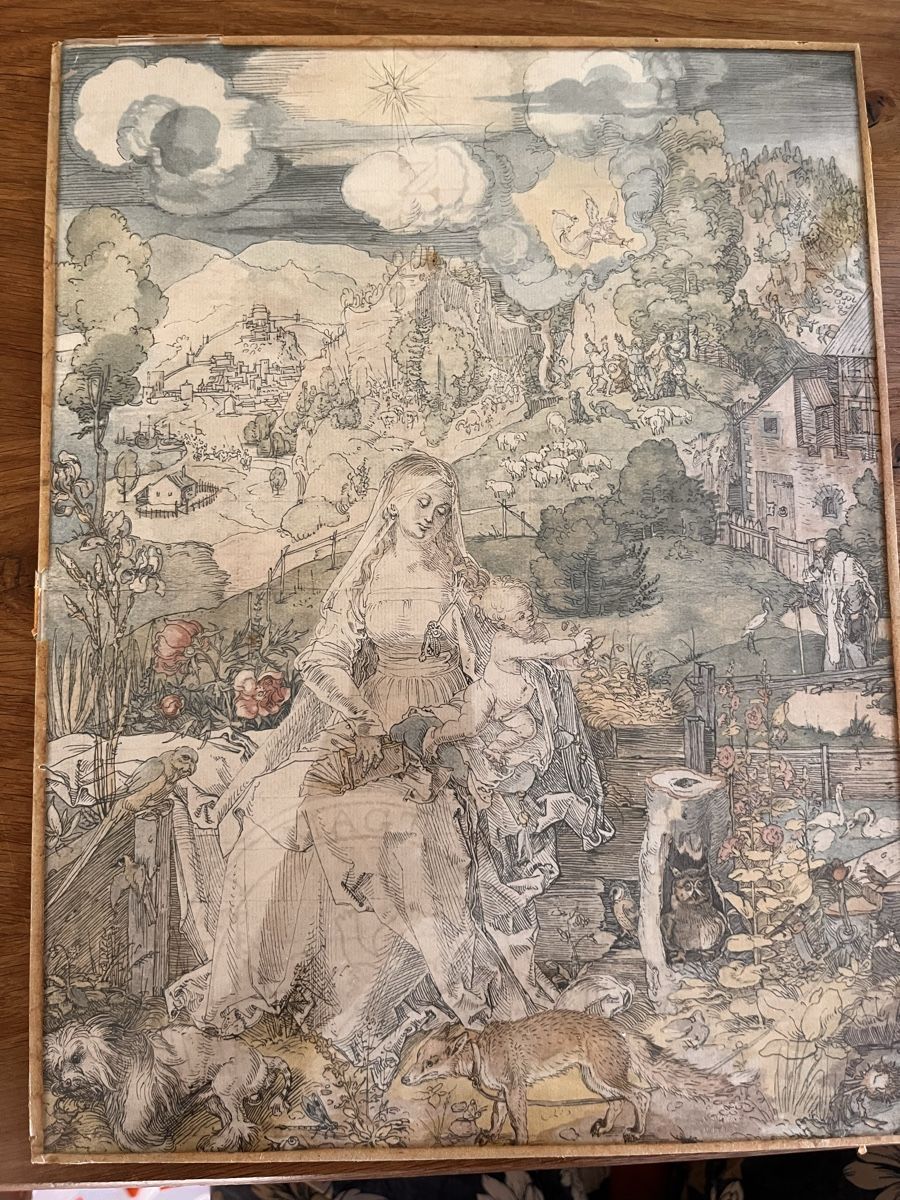 Poster & Bilder: Albrecht Dürer – Gebraucht aus Kölliken von Spielmann0