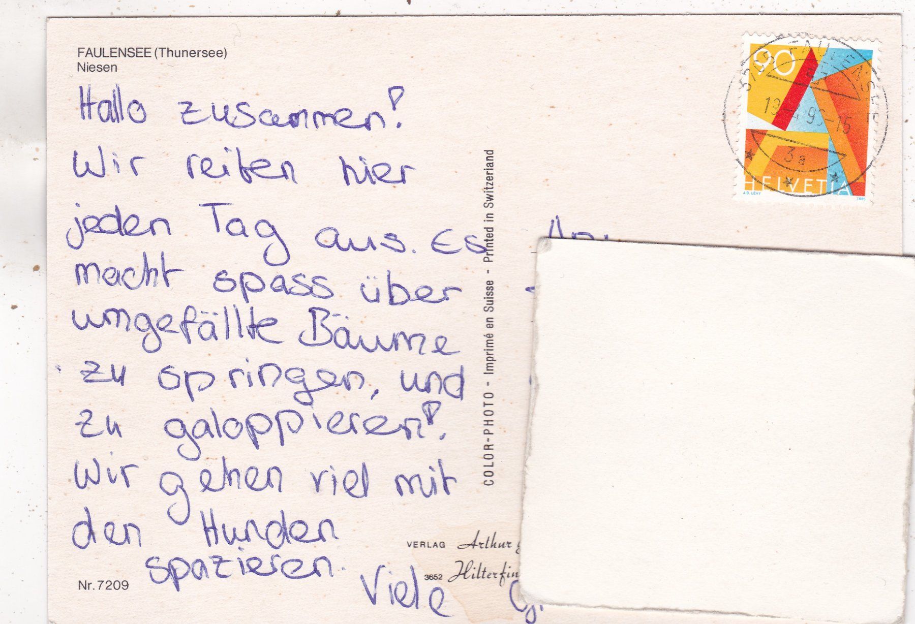 Cartoline postali: Faulensee Thunersee Niesen 1996 – Usato da Herisau venduto da Lisegrat2008 1