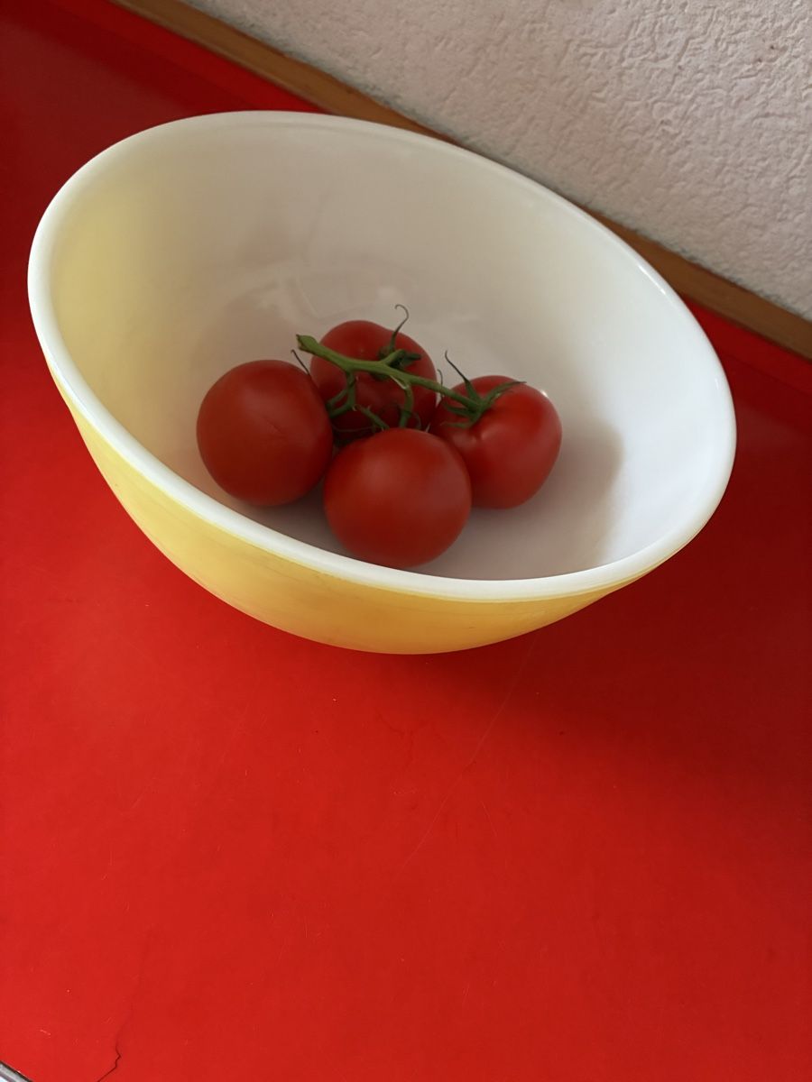 Ciotole: Pyrex Schüssel Vintage gross und schwer – Usato da Lengnau BE venduto da Warmbrodt