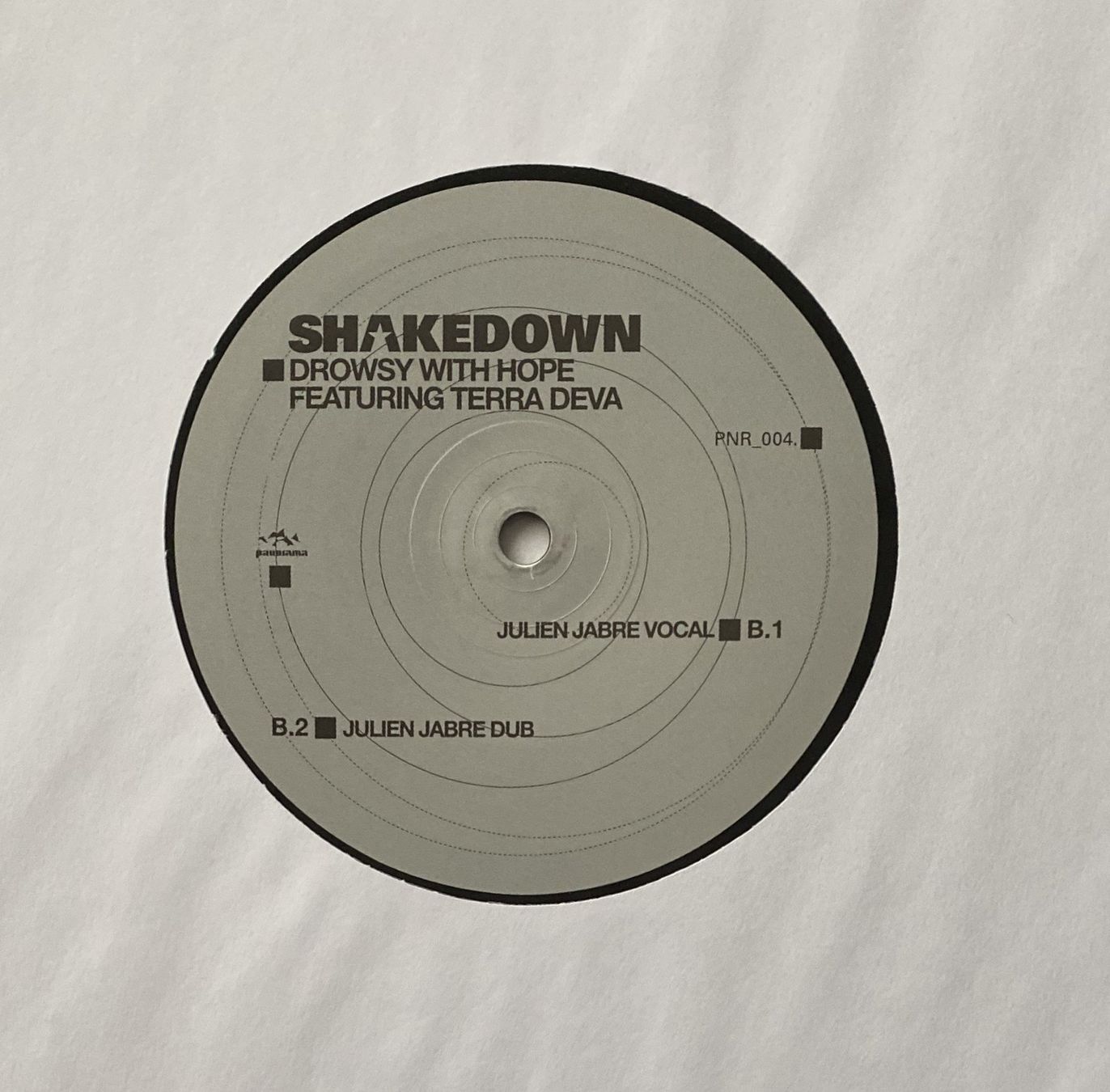 Dischi in vinile: Shakedown, Drowsy With Hope (House) – Usato da Flums venduto da Empe1 4