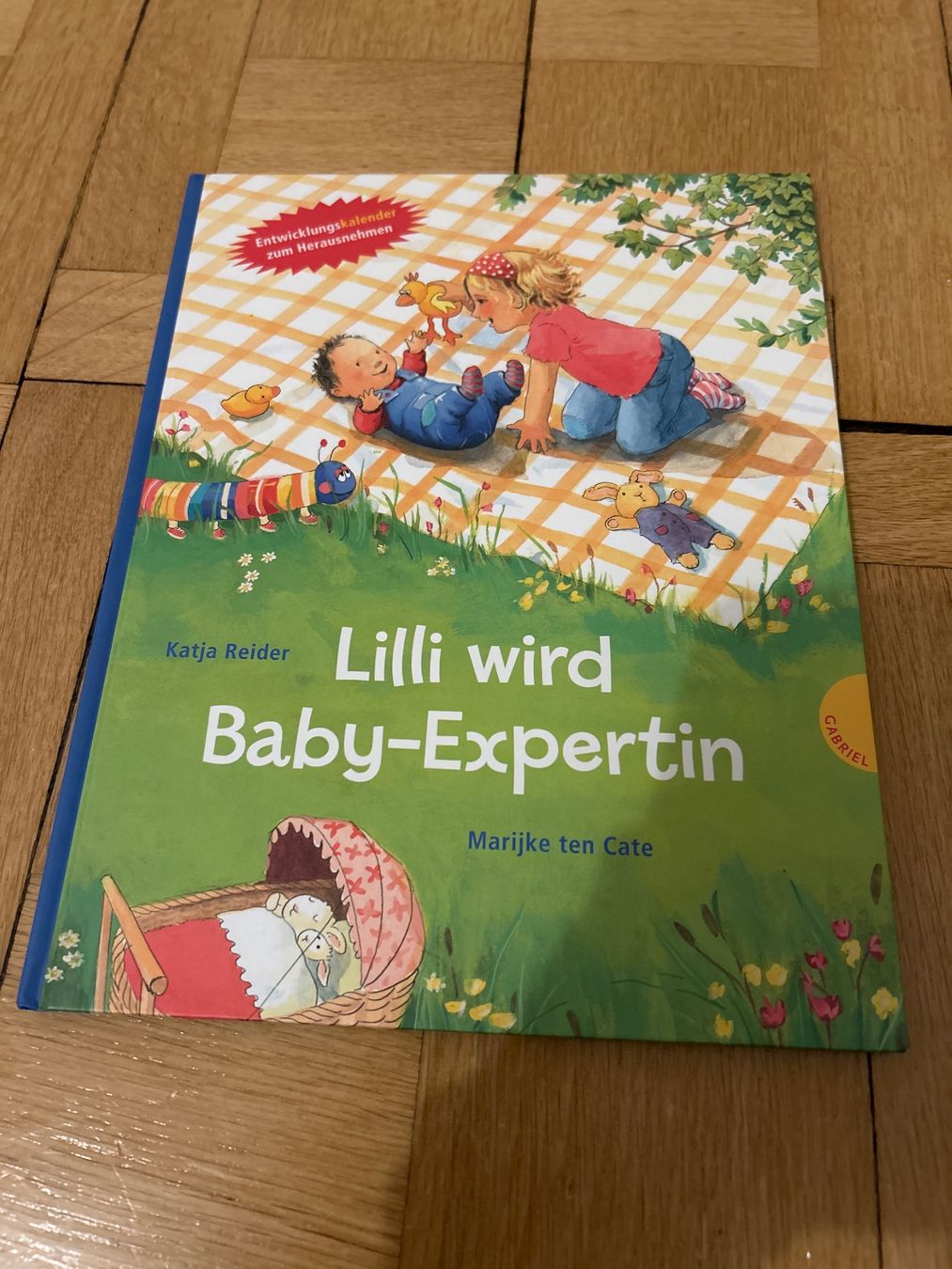 Bücher: Buch Lilli wird Baby- Expertin – Gebraucht aus Degersheim von Principessa_90