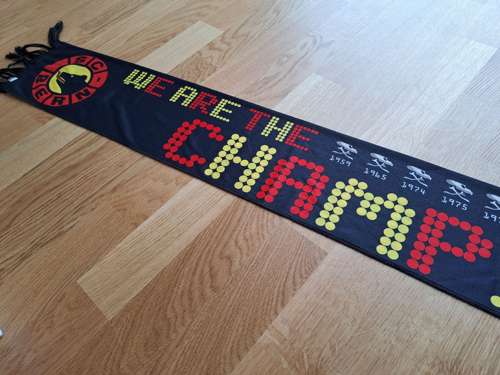 Foulard & Sciarpe: SC Bern Schal "We are the Champions"  – Usato da Murten venduto da ste_s76w 2