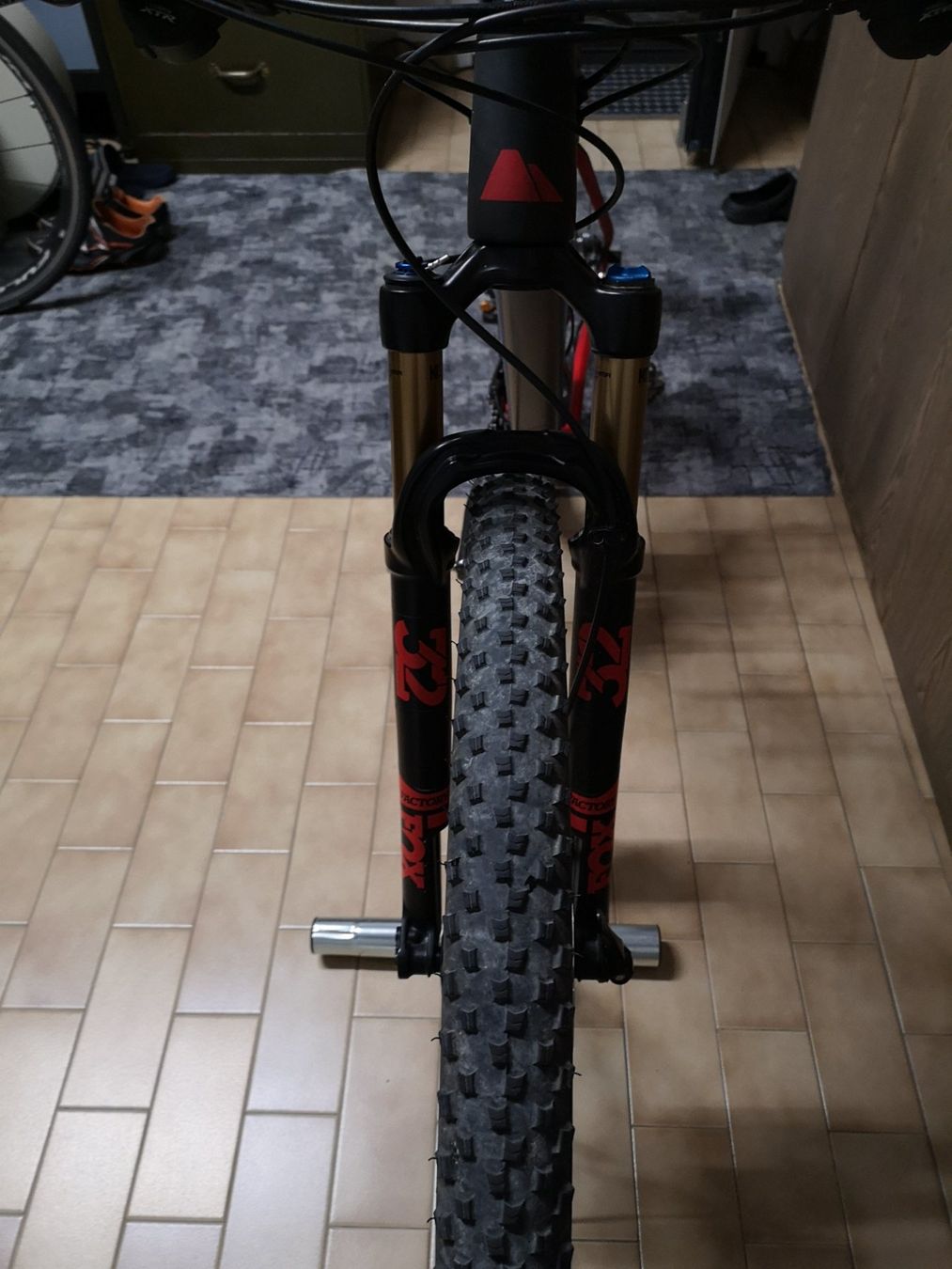 Canyon Velos: Mtb Canyon Exceed CF SLX – Gebraucht aus Bosco Luganese von svi_vv9w 1