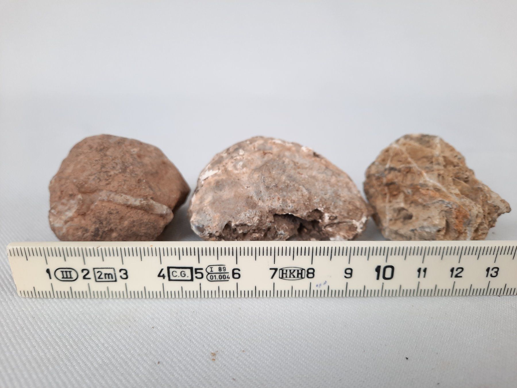 Fossili: Diverse Fossilien – Usato da Beinwil am See venduto da Restwert_Beinwil 7