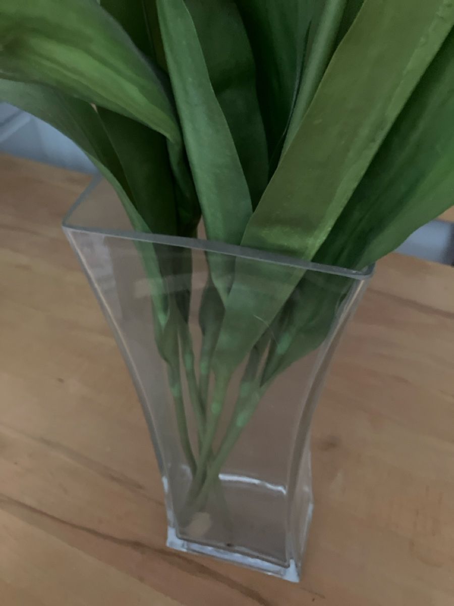 Vasi & Recipienti: Vase aus Glas 45cm hoch – Usato da Basel venduto da Wiub 1