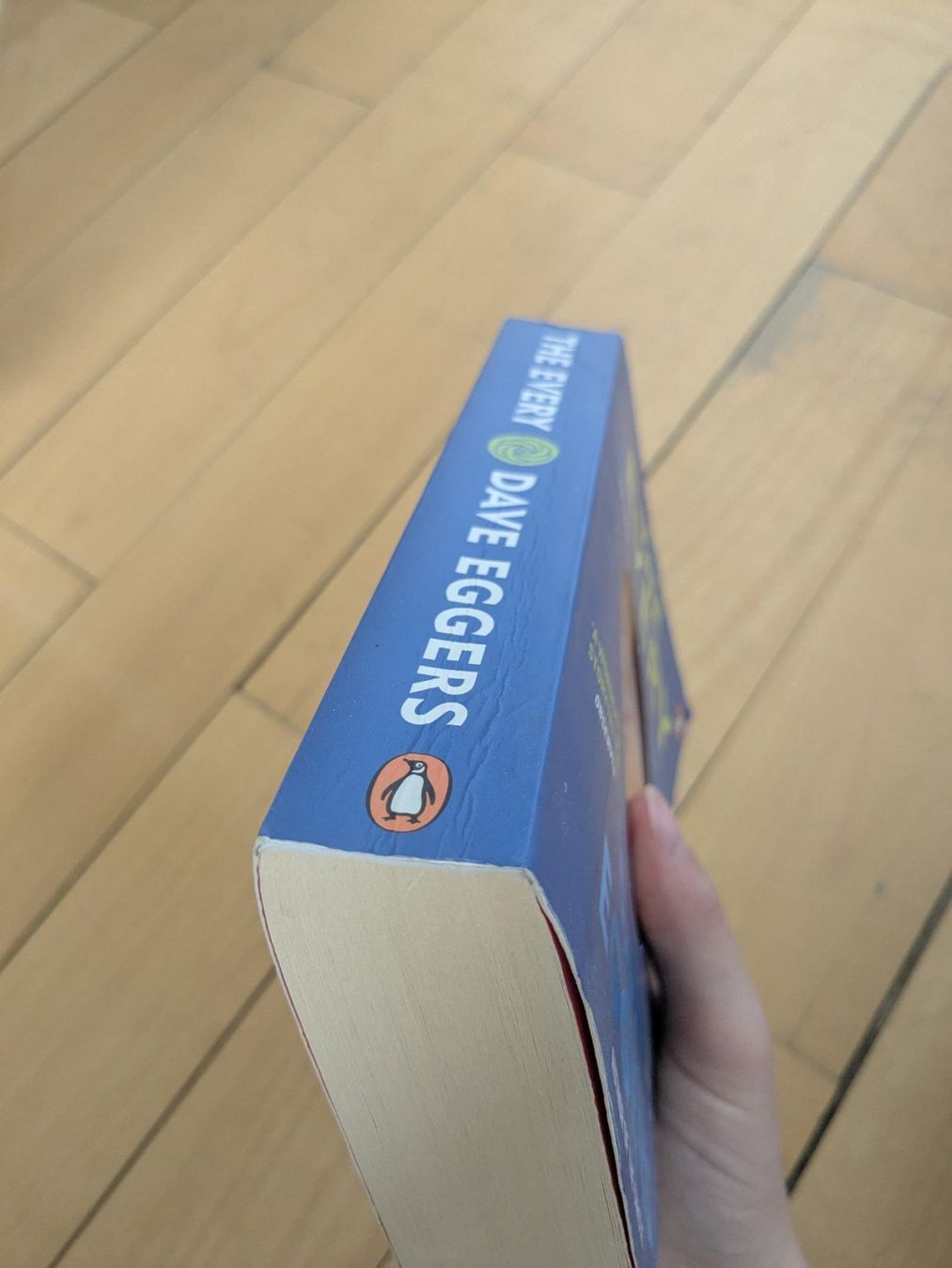Libri: The Every - Dave Eggers – Usato da Zürich venduto da reb_gdl9 4