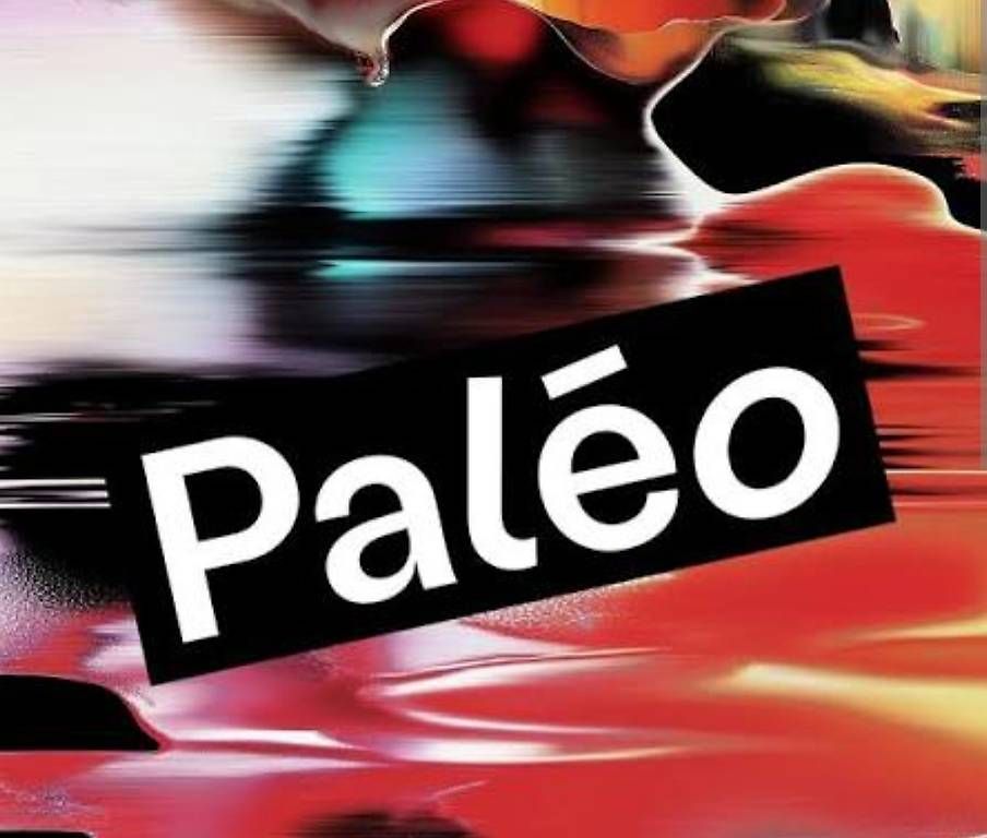Biglietti: Billet Paléo mecredi Adulte – Usato da Morges venduto da carrup007