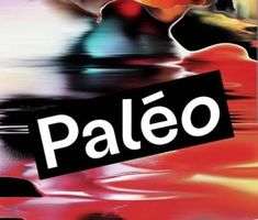Billet Paléo mecredi Adulte
