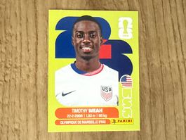 Panini FIFA World Cup 2026 Sticker Timothy Weah USA 12