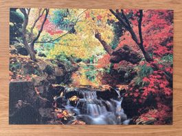 Puzzle Automne - Cascade et Couleurs 1000pcs