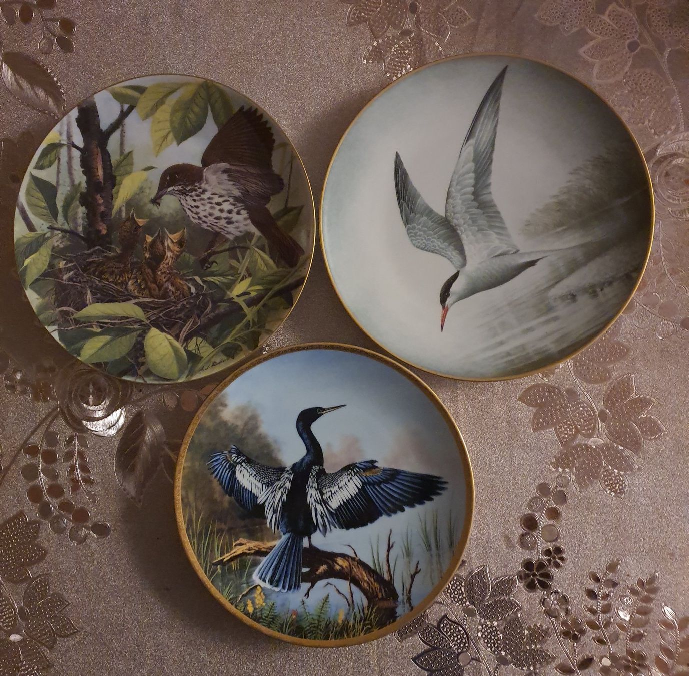 Assiettes: 3 TELLER MIT WILDVÖGEL  SCHÖN – D'occasion à Schönenwerd par Sneki55