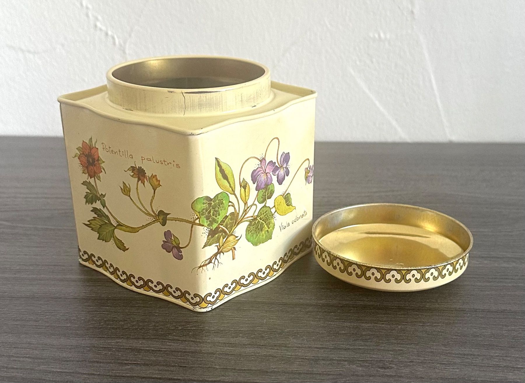 Contenitori & Simili: Vintage botanical Blechdose von Baret Ware England – Usato da Zürich venduto da brazerola 4