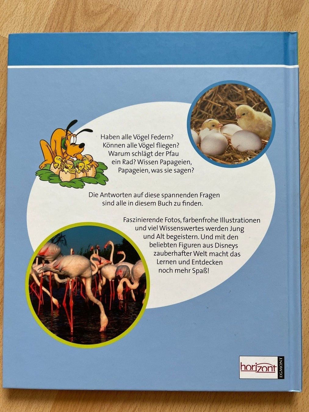 Libri: Die Vögel - Fragen&Antworten - Disney – Usato da Balzers venduto da Alannah 2