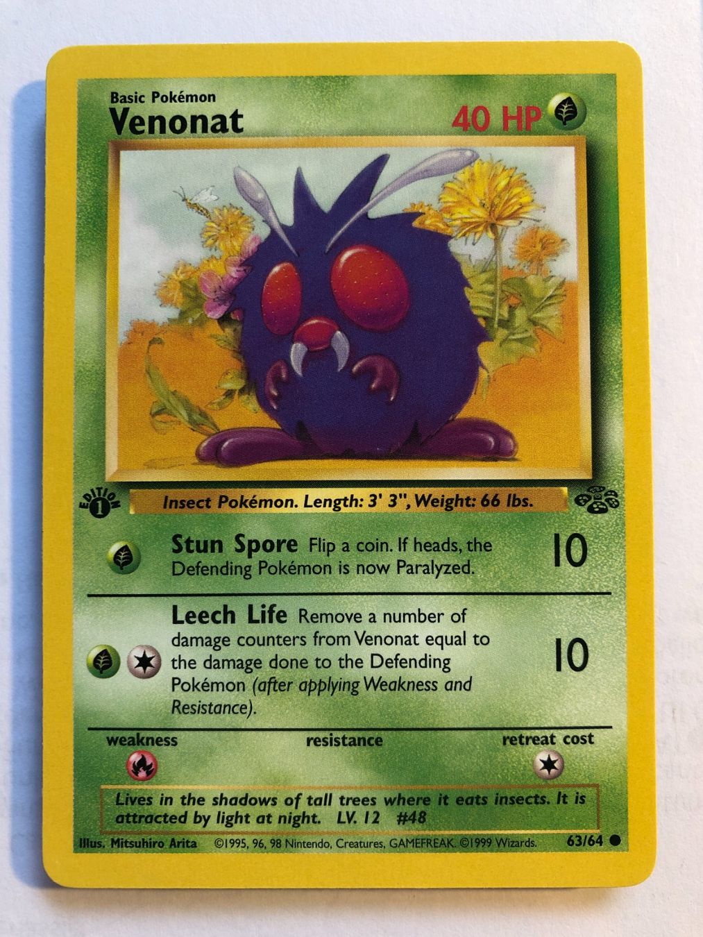 Carte collezionabili: Venonat 1st Jungle - MINT - ab 1.- – Usato da Giubiasco venduto da dan_pr8b