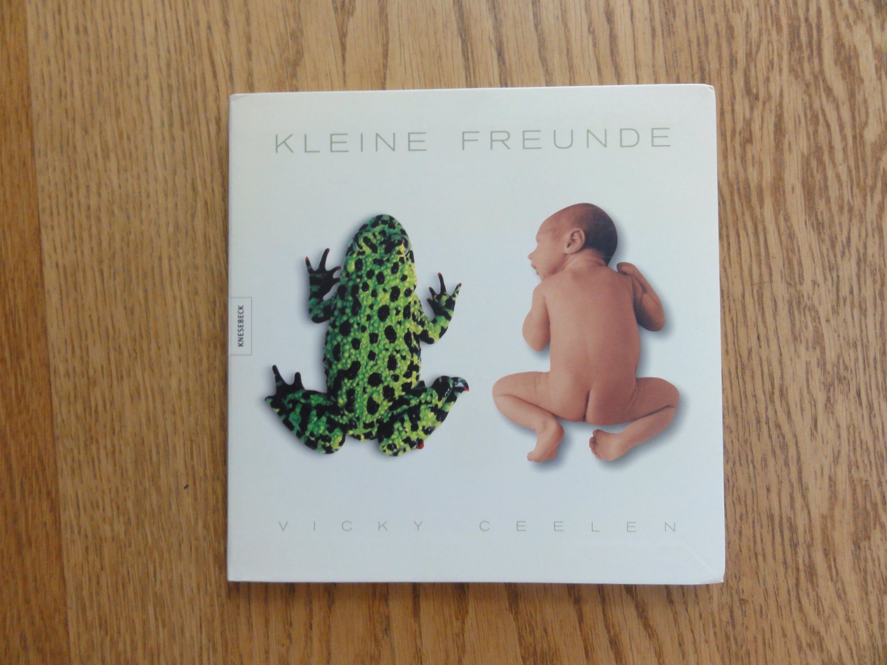 Libri: Kleine Freunde, Fotoband – Usato da Riedholz venduto da Taweva