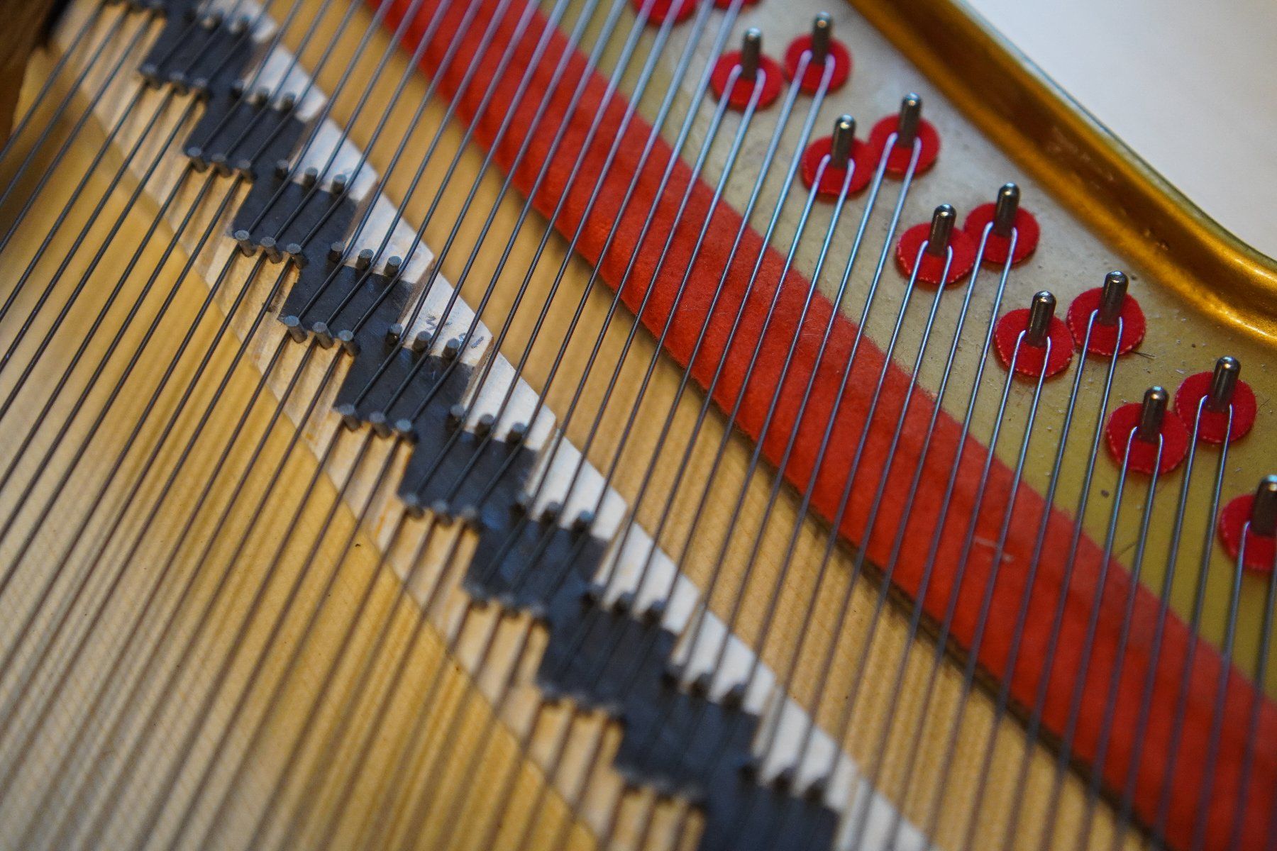 Strumenti musicali: Flügel Grotrian Steinweg 170 – Usato da Küttigen venduto da PianoSarbach 5