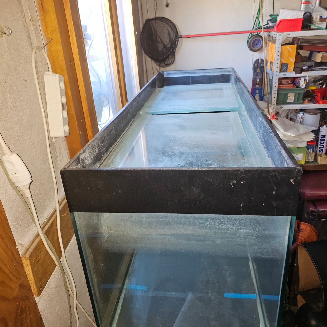 Acquari: Aquarium. !!!! Ab 1Fr !!!! – Usato da Büren an der Aare venduto da Flipperfinger88 4