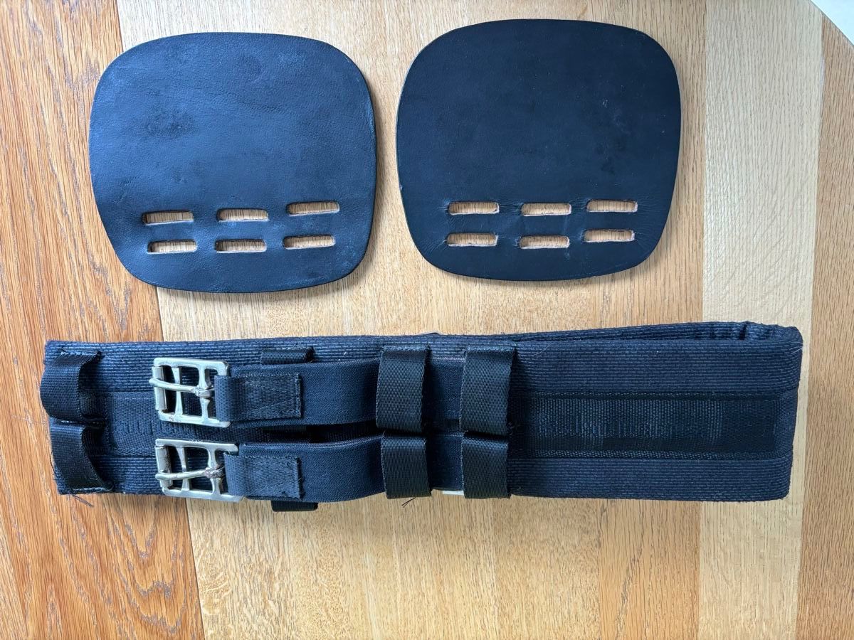 Selle & Accessori: Sattelgurt für Pony – Usato da Frauenkappelen venduto da Anneli58