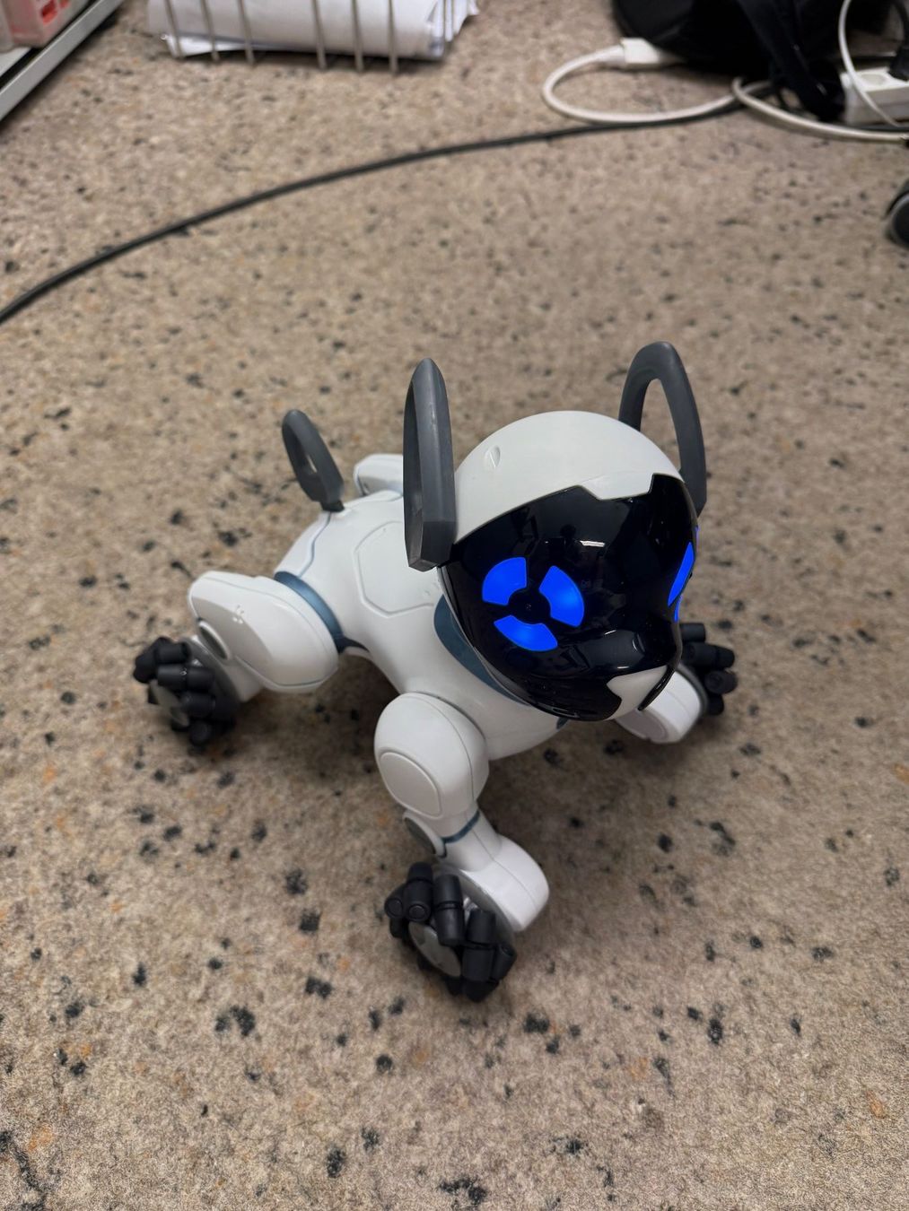 Jouets: Chip Roboter Hund – D'occasion à Gümligen par Brocki-Reimal-Stift