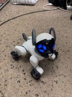 Chip Roboter Hund