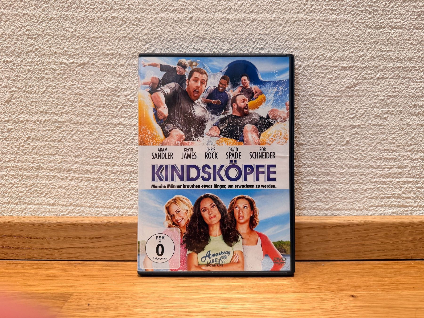 Tutti i DVDs: Kindsköpfe (DVD) – Usato da Reinach BL venduto da Graphix