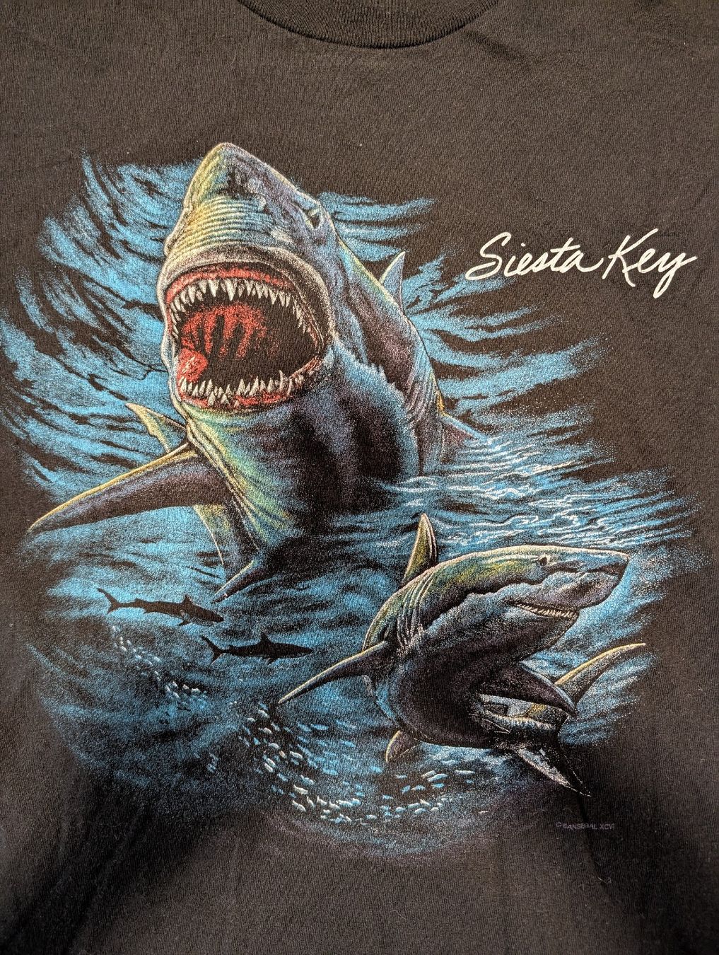 T-shirt: Schwarzes Siesta Key T-Shirt – Usato da Biel/Bienne venduto da Second_Chance_Biel 1