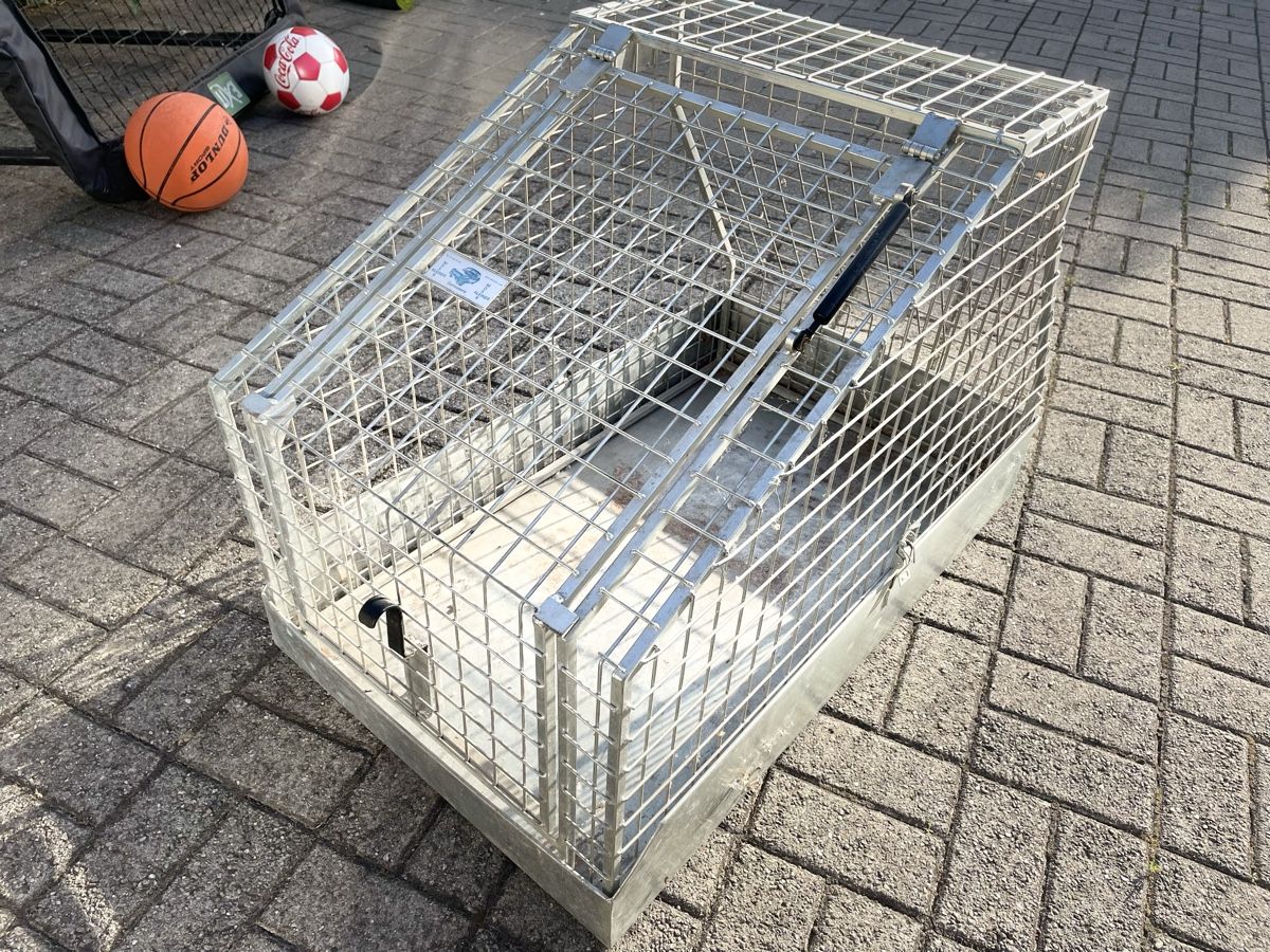 Käfige, Transport & Sicherheit: Gebrauchte Auto Transportbox / Hunde Transportbox, MOSR – Gebraucht aus Heimenhausen von Bufnof 4