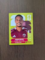 Panini Bild QAT 7