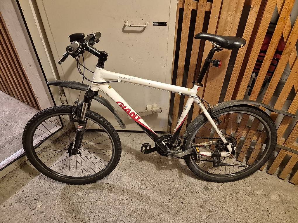 Giant Biciclette: Giant Terrago 26 Zoll MTB – Usato da Steffisburg venduto da fridii 1