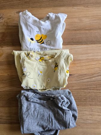 Lot de 3 bodys manches courtes taille 62 🐝
