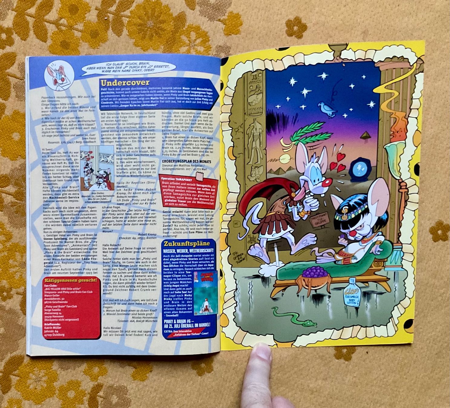 Fumetti: Pinky und Brain Heft Nr 5 von 1999 – Usato da Endingen venduto da nathan05 8