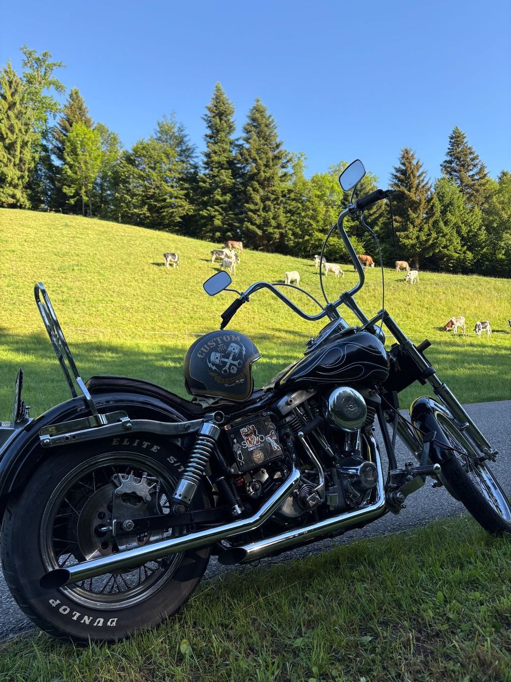 Harley-Davidson Chopper: Harley-Davidson Super-Glide FXE Shovelhead – Usato da Gümligen venduto da mchboss 9
