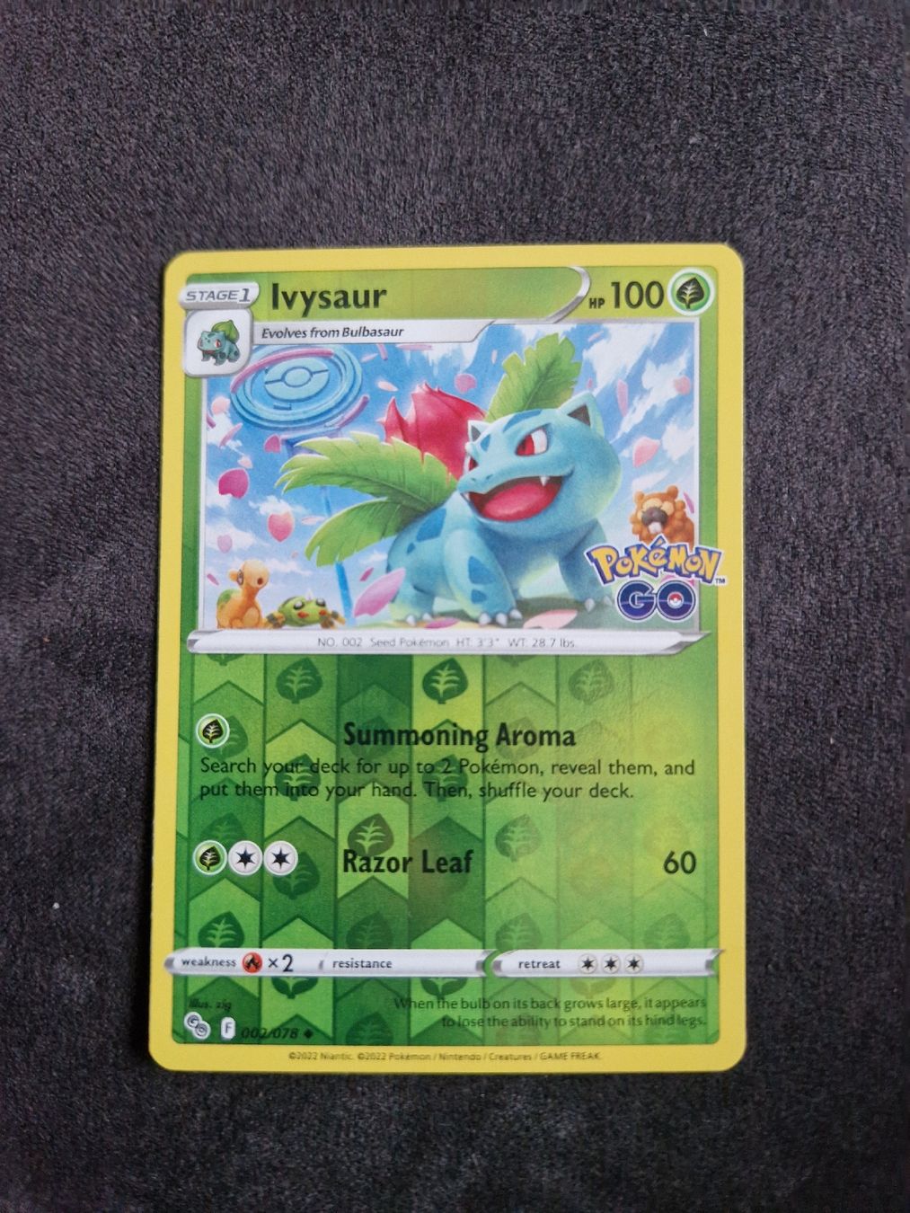Pokémon Carte collezionabili: Pokemon Ivysaur 002/078 EN – Nuovo (secondo la descrizione) da Münchenbuchsee venduto da Ludo_Braenz