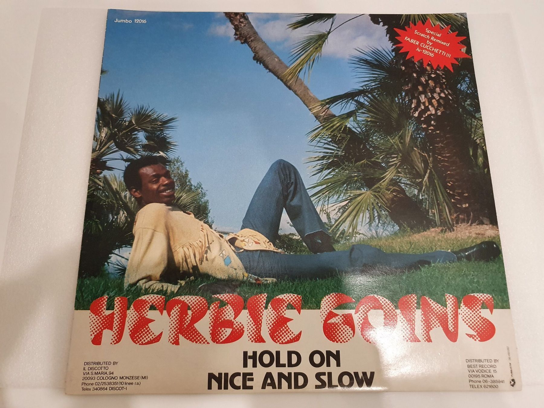 Vinyles: Herbie Goins - Hold On - Nice And Slow – D'occasion à Uster par Vinyl-Leidenschaft 1