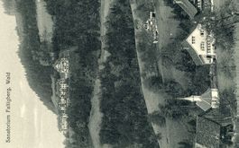 Wald - Sanatorium Faltigberg