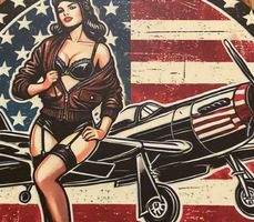 Aviation Blechschild Pin Up Girl