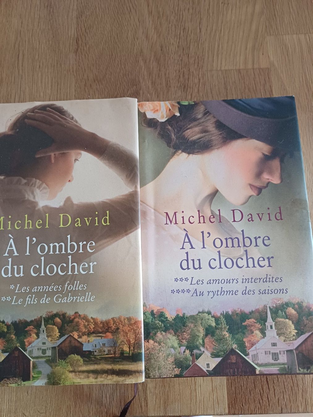Libri: A l'ombre du clocher – Usato da Porrentruy venduto da Piquetix