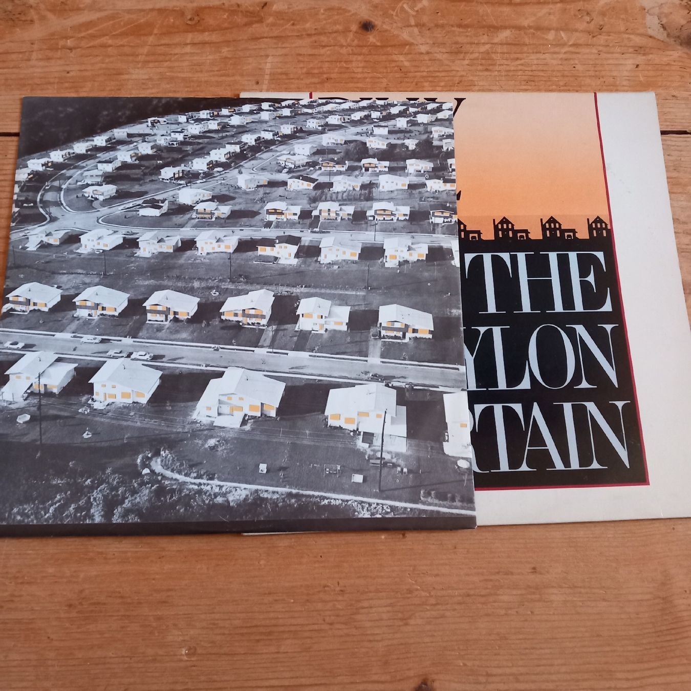 Dischi in vinile: Billy Joel - The Nylon Curtain – Usato da Ebnat-Kappel venduto da blazzi 1