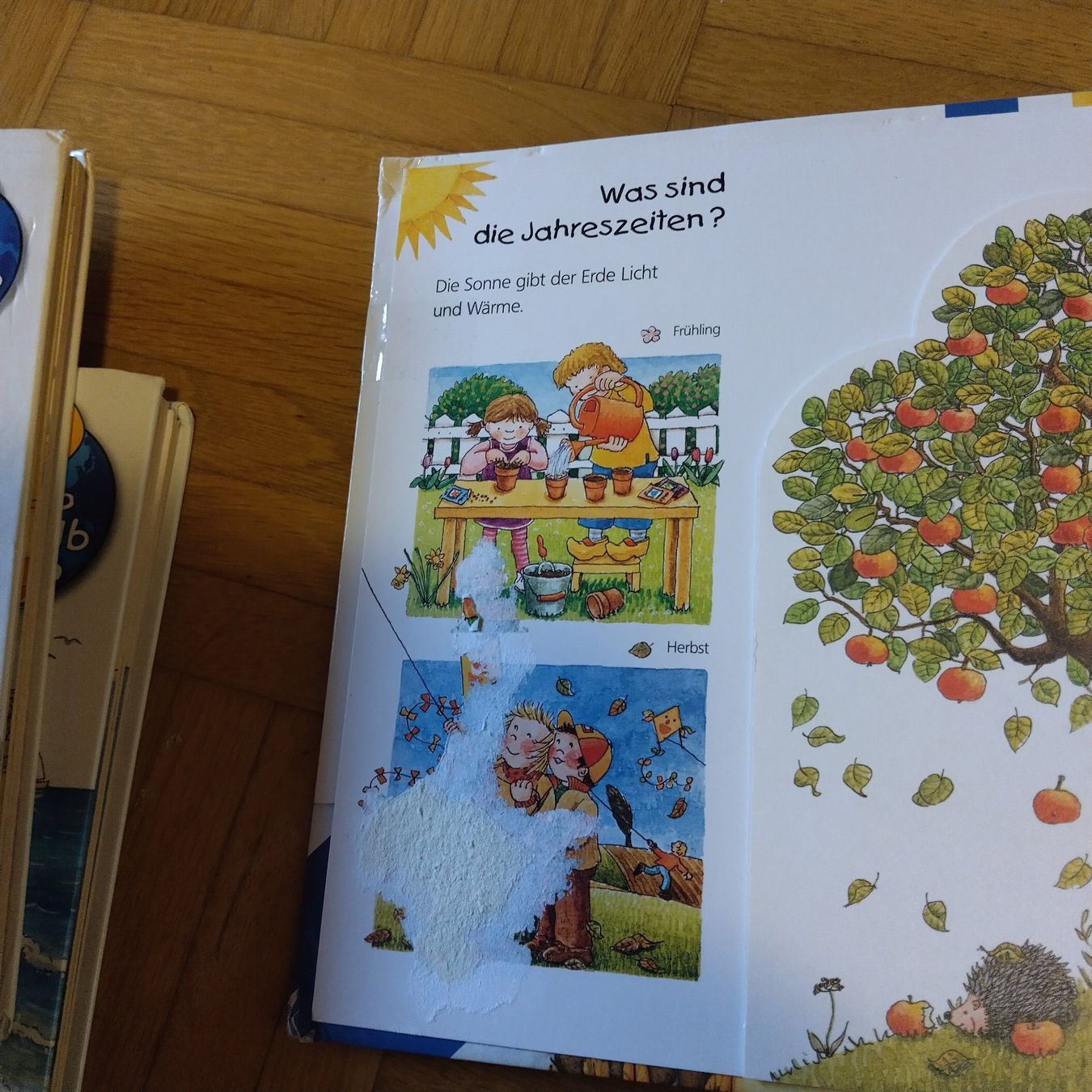 Bücher: Wieso Weshalb Warum Junior Bucher Set – Gebraucht aus Oberdorf NW von niederj 4
