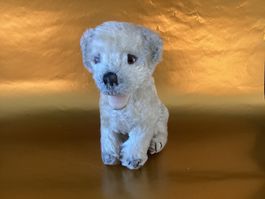 Steiff / alter Hund 🐕 mit Knopf im Ohr