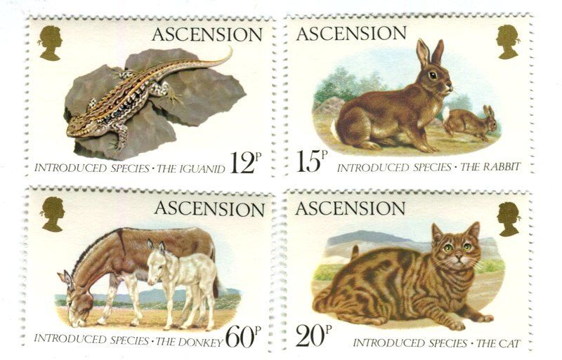 Tutti i francobolli: Briefmarken "Tiere". Ascension – Nuovo e nell'imballaggio originale da Basel venduto da Butsch5