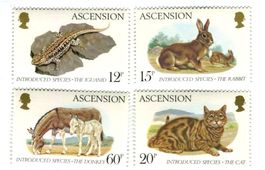 Briefmarken "Tiere". Ascension