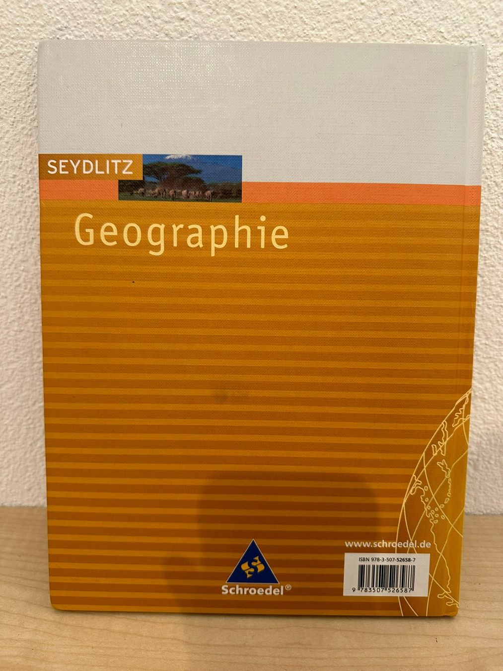 Livres: Geographie – D'occasion à Rickenbach b. Wil par Salsch 1