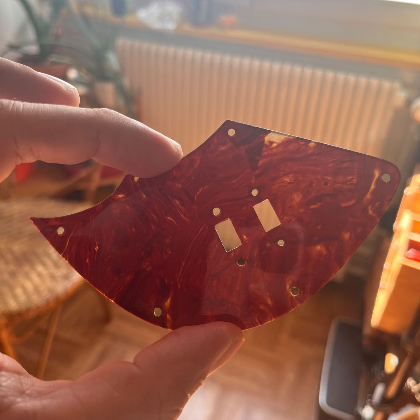 Framus Musikinstrumente: Framus Control Plate Pickguard, Vintage 60s Germany – Gebraucht aus Zürich von NeroMorrison 2