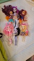 Enchantimals - Lot de 6 poupées - Idéal pour collection !