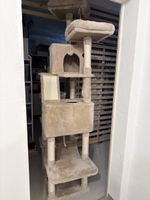 Katzenbaum