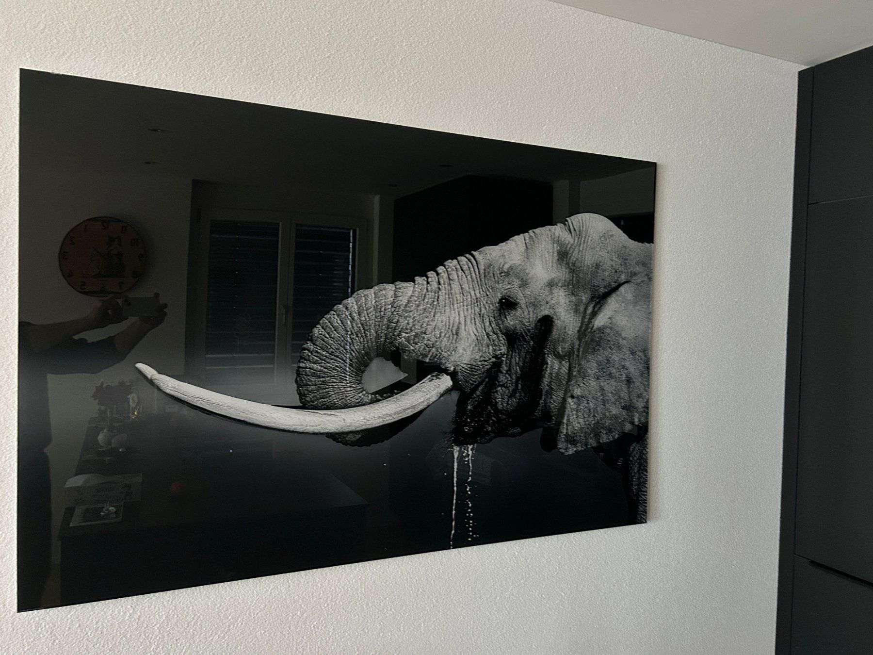 Foto & Immagini: Bild Elefant Acrylglas – Nuovo e nell'imballaggio originale da Luthern venduto da haefliger81 2