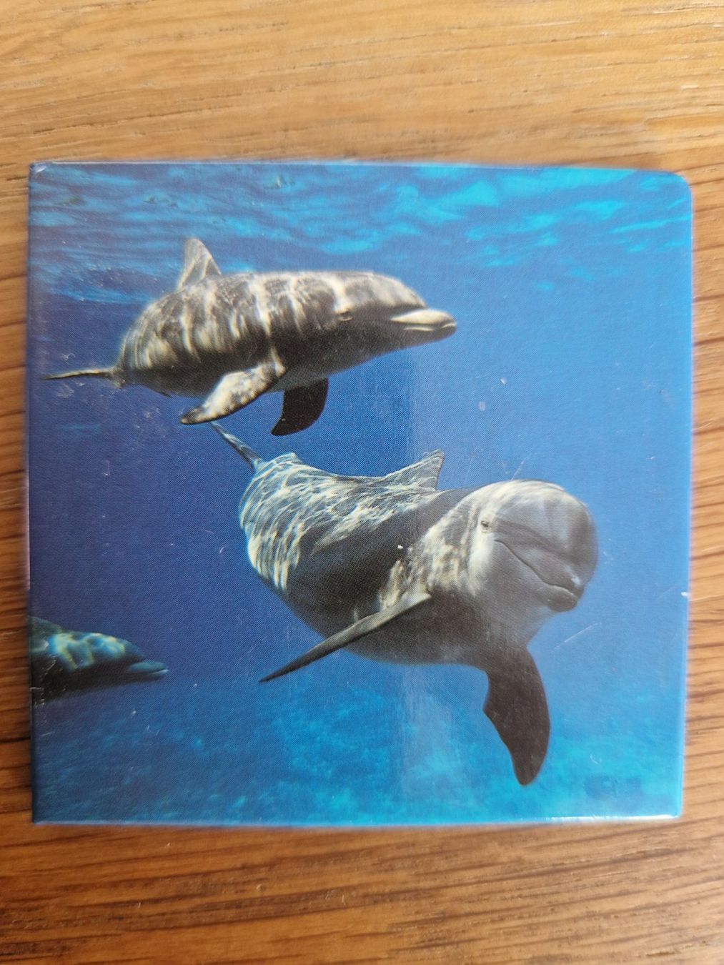 Calamite: Magnet pour frigo - dauphins – Nuovo (secondo la descrizione) da Villars-sur-Glâne venduto da Agnie80